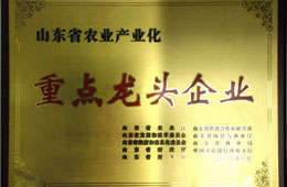 重点龙头企业